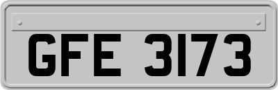 GFE3173