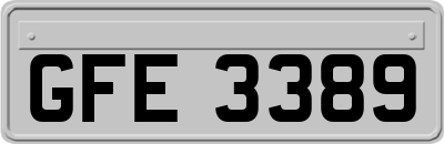 GFE3389