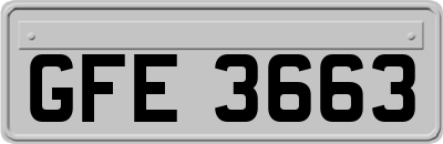 GFE3663