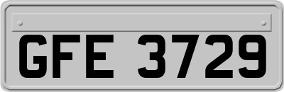 GFE3729