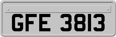 GFE3813