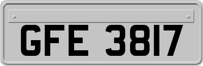 GFE3817
