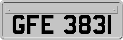 GFE3831