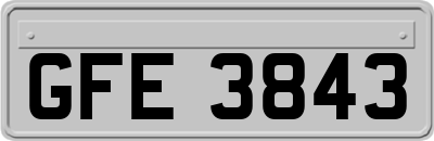 GFE3843