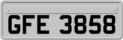 GFE3858
