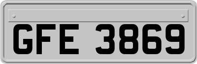 GFE3869
