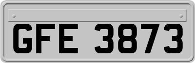 GFE3873