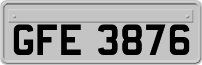 GFE3876
