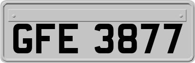 GFE3877