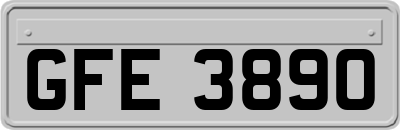GFE3890