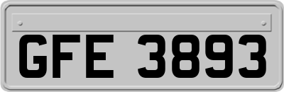 GFE3893