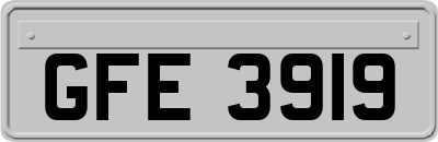 GFE3919