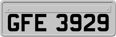 GFE3929