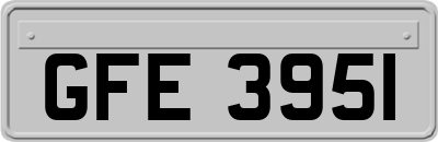 GFE3951