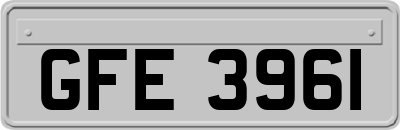 GFE3961