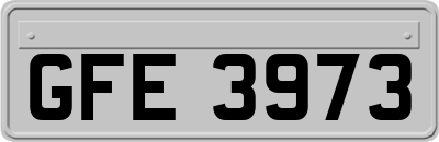 GFE3973