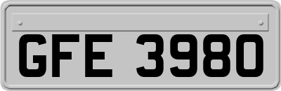 GFE3980