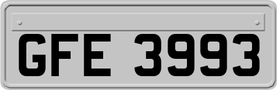 GFE3993