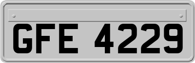 GFE4229