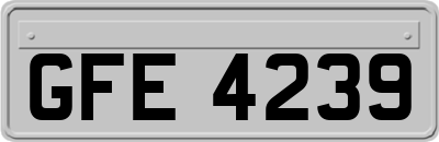 GFE4239