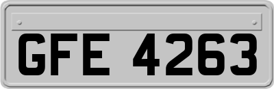 GFE4263