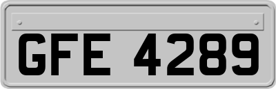 GFE4289