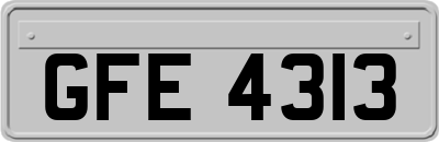 GFE4313