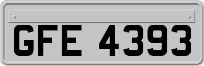 GFE4393