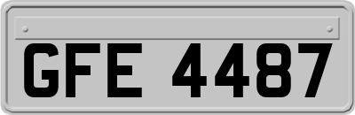 GFE4487