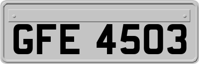 GFE4503