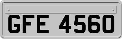 GFE4560