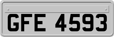 GFE4593