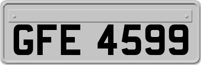 GFE4599