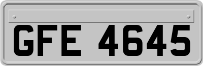 GFE4645