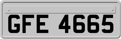 GFE4665