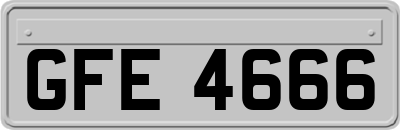 GFE4666