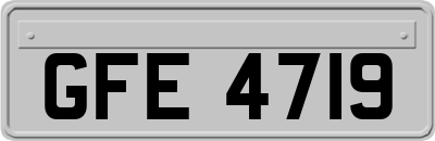 GFE4719