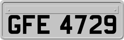 GFE4729