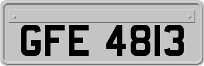 GFE4813