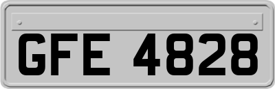 GFE4828