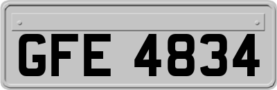 GFE4834