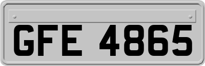 GFE4865