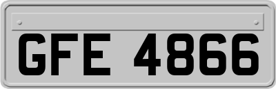 GFE4866