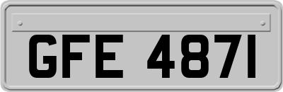 GFE4871