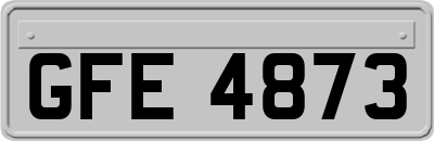 GFE4873