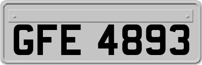 GFE4893