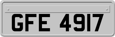 GFE4917