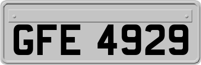 GFE4929