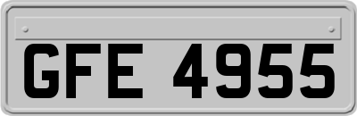GFE4955