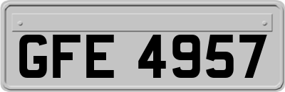GFE4957